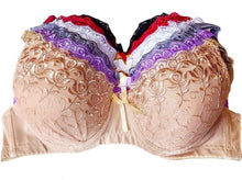 Rosy & Lace Full Coverage Padded Bras
