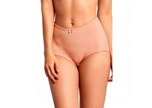 High Waist & Full Coverage Brief Panty